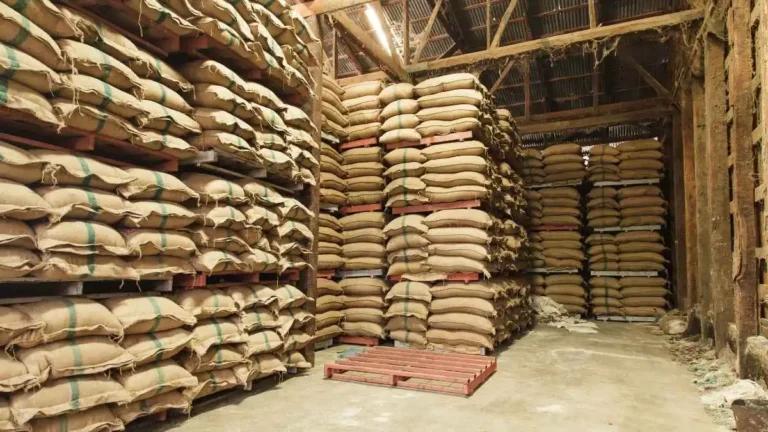 Premium Rice
